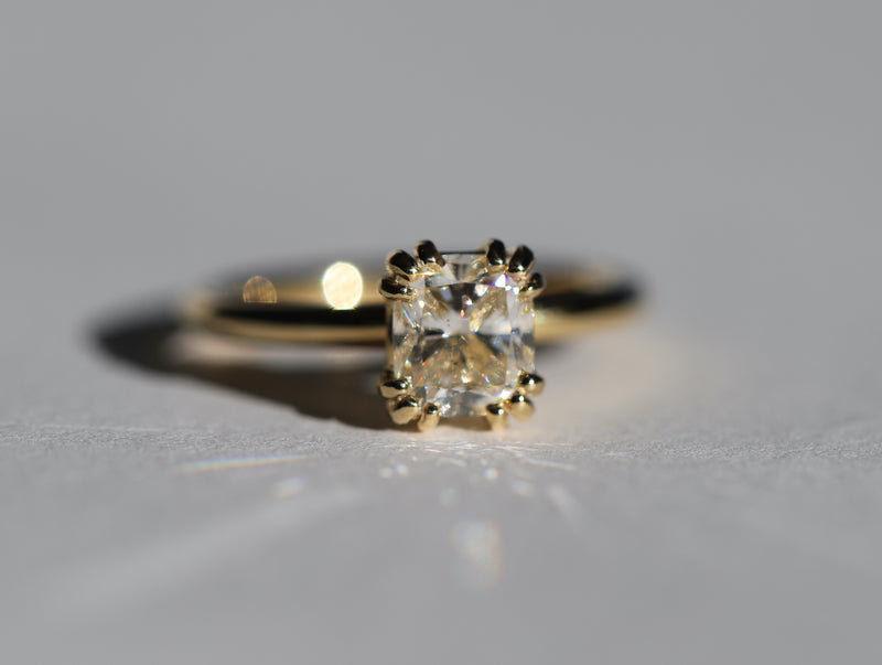 Heidi Ring