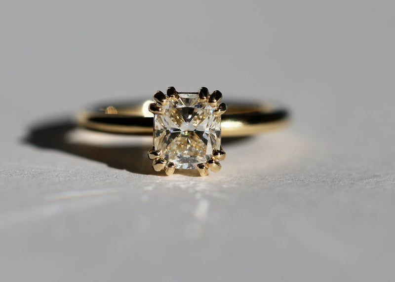 Heidi Ring